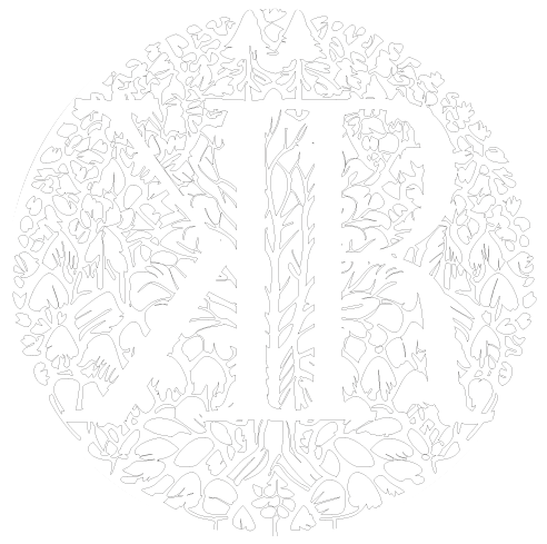 Fotograf Hochzeitsfotograf Bremen Hochzeitsfotograf Harz Logo in weiß